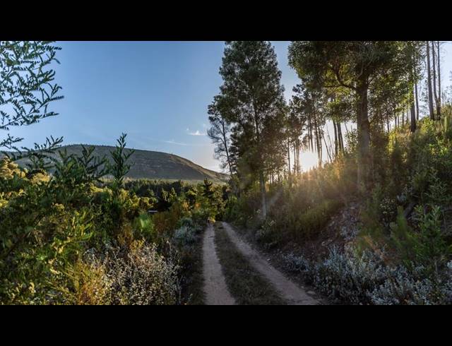 FARM FOR SALE IN PLETTENBERG BAY RURAL